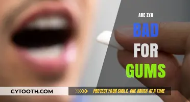 Are Zyn Pouches Harmful to Your Gum Health? Find Out Now