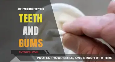 Zyns and Oral Health: Are They Harmful to Teeth and Gums?