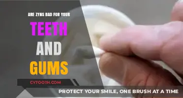 Zyns and Oral Health: Debunking Myths About Teeth and Gums