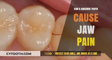 Cracked Tooth and Jaw Pain: Understanding the Surprising Connection