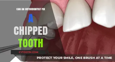 Can Orthodontists Repair Chipped Teeth? Expert Insights and Solutions