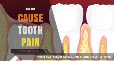 Can the Flu Trigger Tooth Pain? Exploring the Surprising Connection
