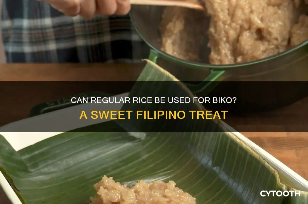 can i use regular rice for biko