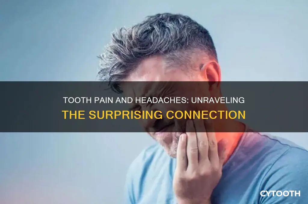 can tooth pain cause a headache