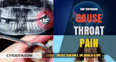 Toothache and Throat Pain: Understanding the Surprising Connection