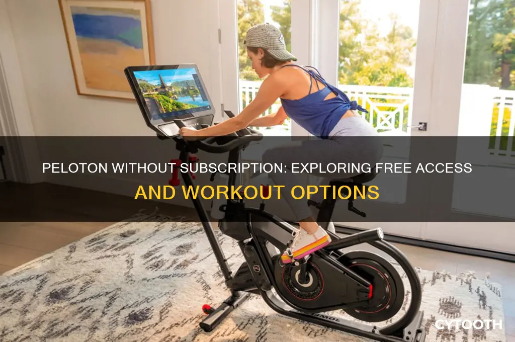 can you use the peloton without a subscription