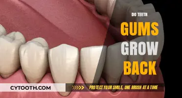 Can Receding Gums Be Reversed? The Truth About Gum Regeneration
