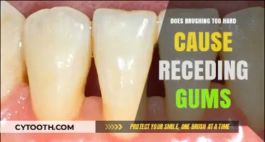 Brushing Too Hard: A Hidden Cause of Receding Gums?