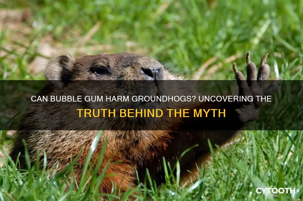 does bubble gum kill groundhogs