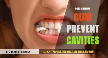 Chewing Gum and Cavity Prevention: Fact or Fiction?