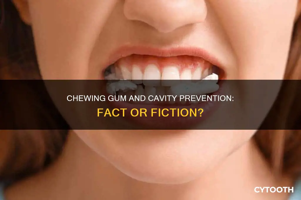 does chewing gum prevent cavities