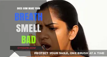 Does Gum Freshen Breath or Cause Bad Odor? The Truth Revealed