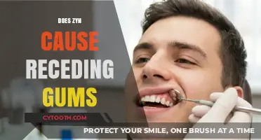 Does Zyn Cause Receding Gums? Uncovering the Truth and Risks