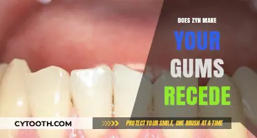 Does Zyn Cause Gum Recession? Exploring the Potential Risks