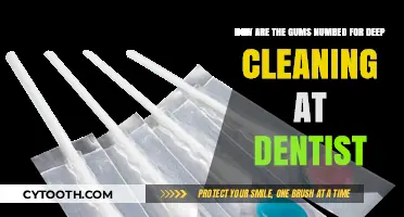 Numbing Gums for Deep Dental Cleaning: What to Expect at the Dentist