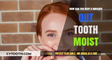 Emergency Dental Care: Keeping a Knocked-Out Tooth Moist for Preservation