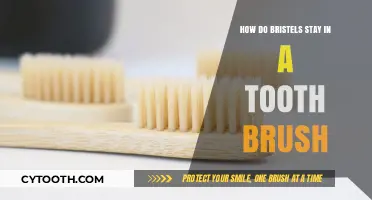 How Do Toothbrush Bristles Stay Secure and Effective Over Time?
