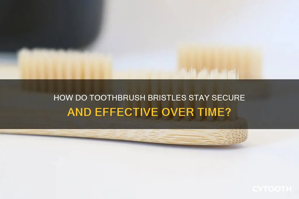 how do bristels stay in a tooth brush