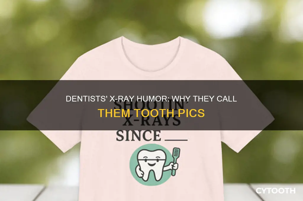 how do dentist call their x-rays tooth pics