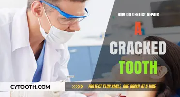 Cracked Tooth Repair: Dentist Techniques to Restore Your Smile