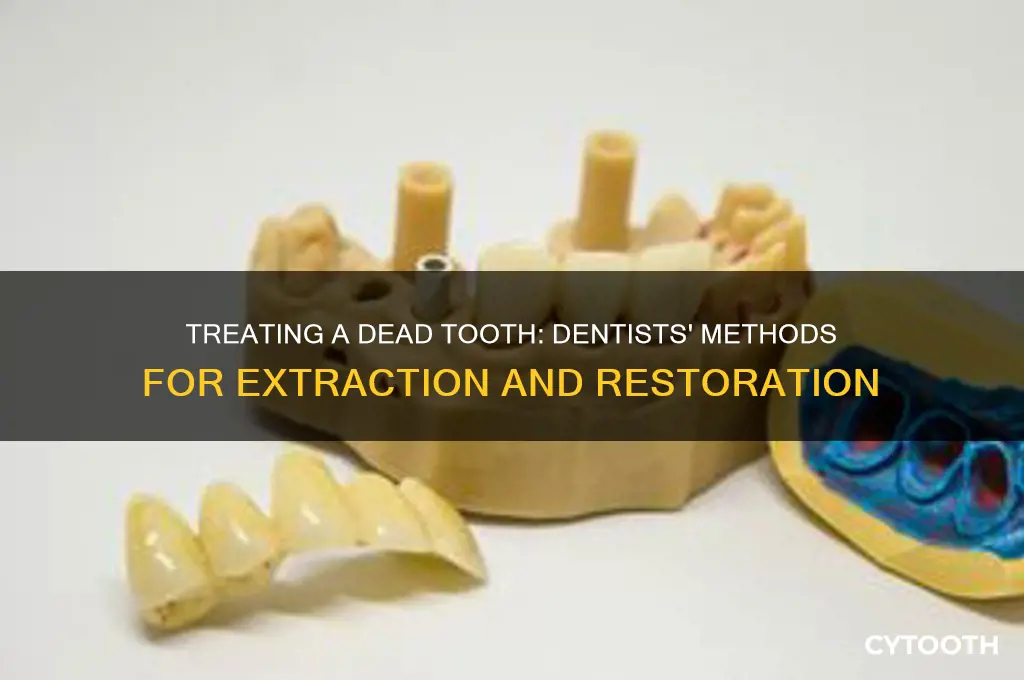 how do dentists treat a dead tooth