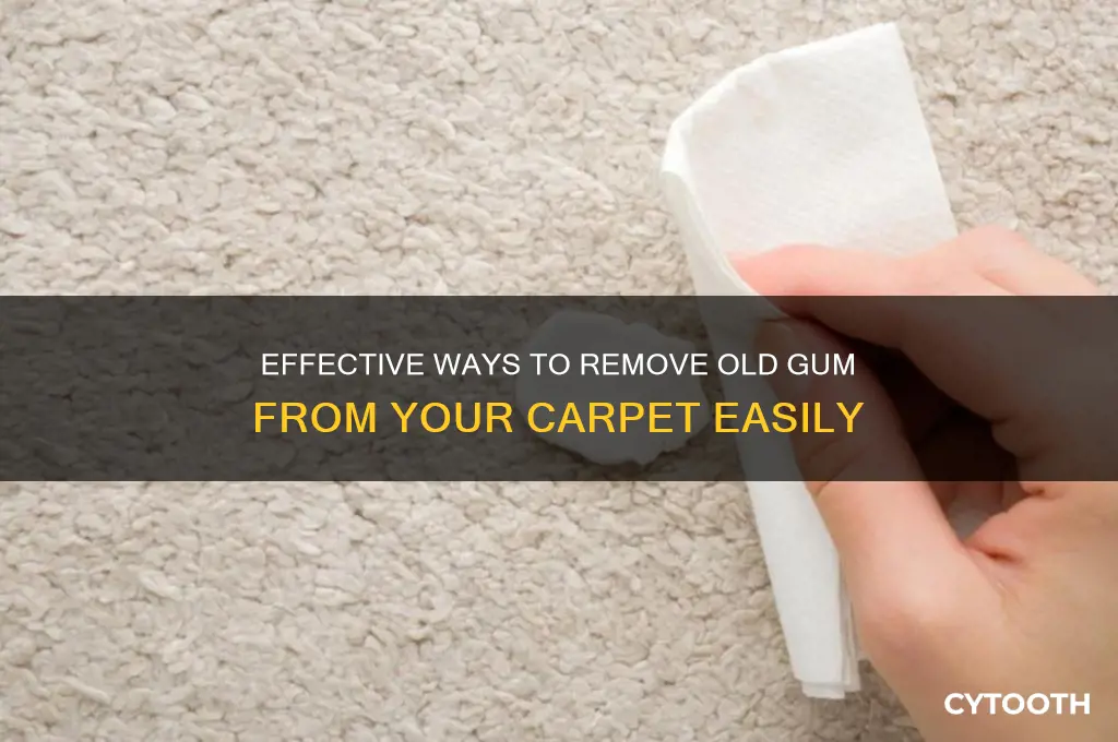 how do you get old gum out of carpet