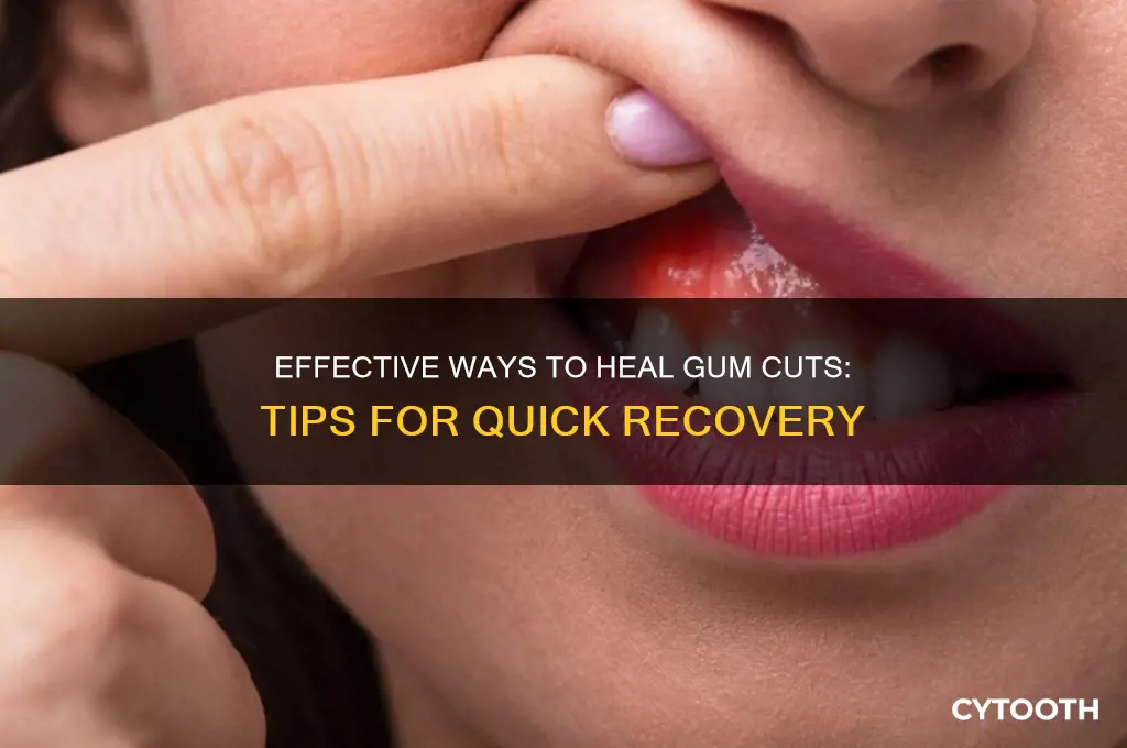 how do you heal a cut on your gums