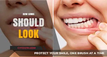 Healthy Gums: What to Look For and How to Maintain Them