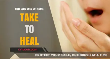 Healing Timeline for Cut Gums: What to Expect and How to Care