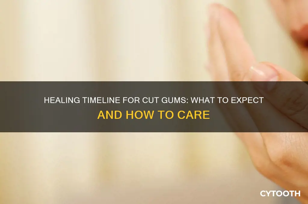 how long does cut gums take to heal