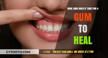 Healing Time for Gum Injuries: What to Expect and How to Speed Recovery