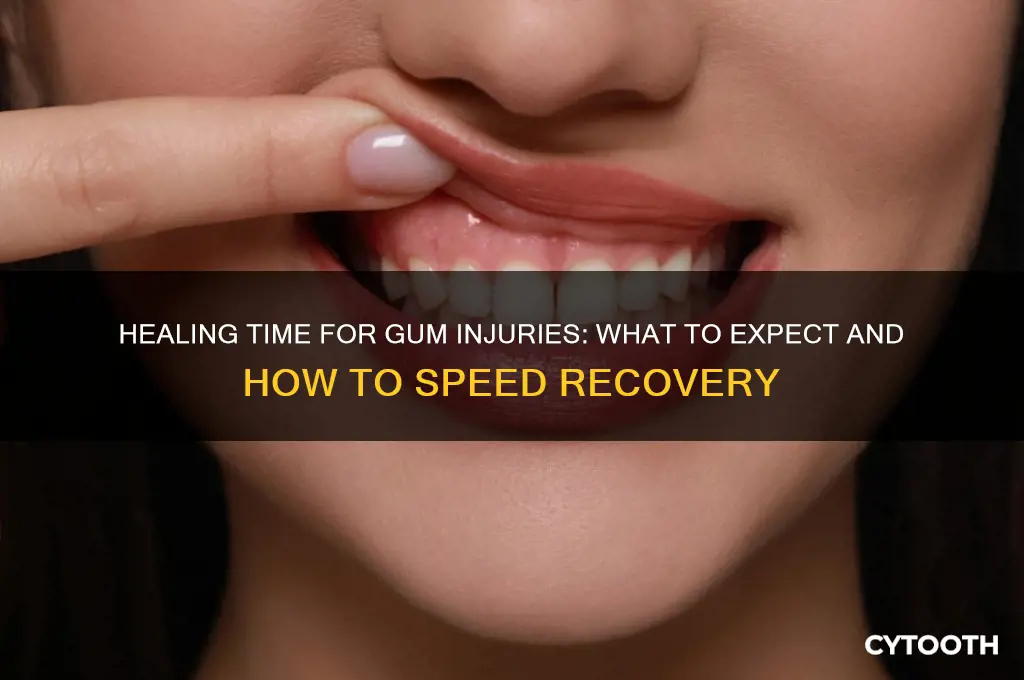 how long does it take for a gum to heal