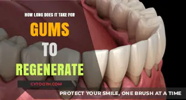 Gum Regeneration Timeline: How Long Does Healing and Recovery Take?