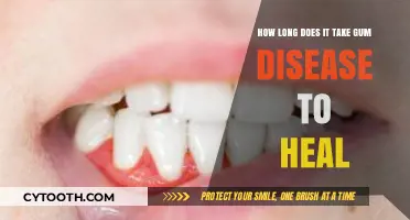 Healing Gum Disease: Understanding the Recovery Timeline and Factors