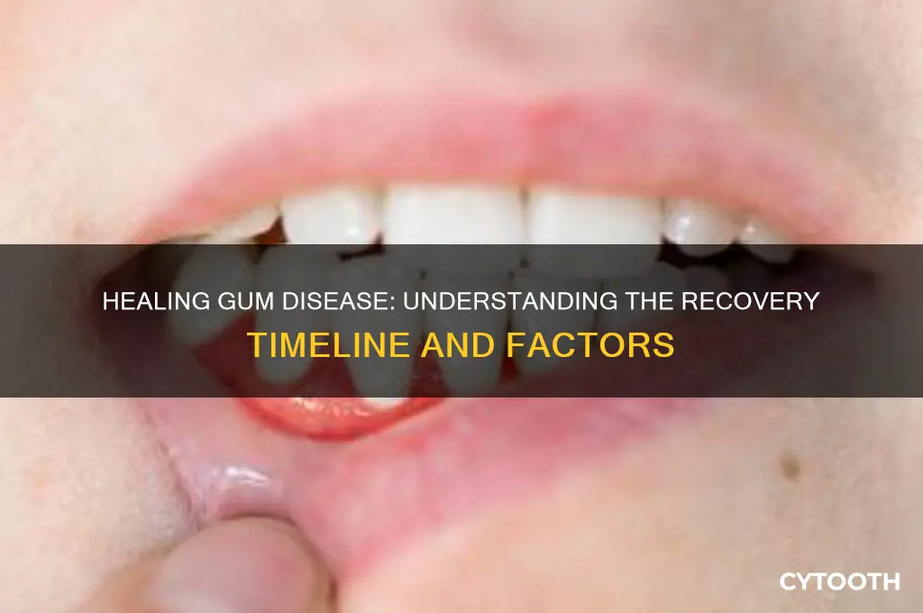 how long does it take gum disease to heal