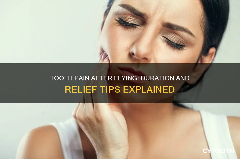 how long does tooth pain last after flying