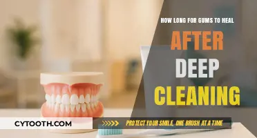 Healing Timeline: Gums Recovery After Deep Dental Cleaning Explained