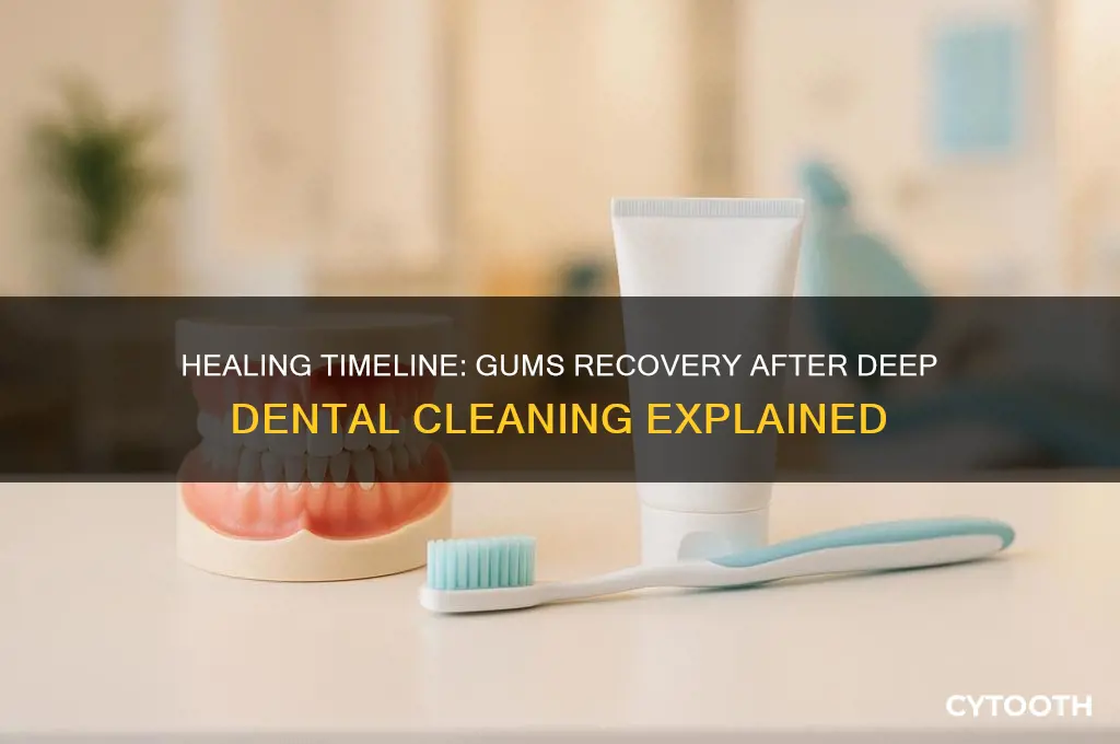 how long for gums to heal after deep cleaning