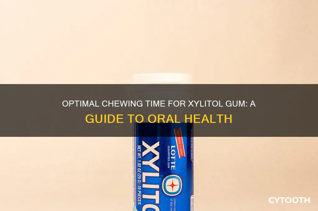 how long should i chew xylitol gum