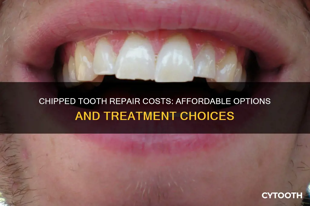 how much does it cost to get chipped tooth fixed