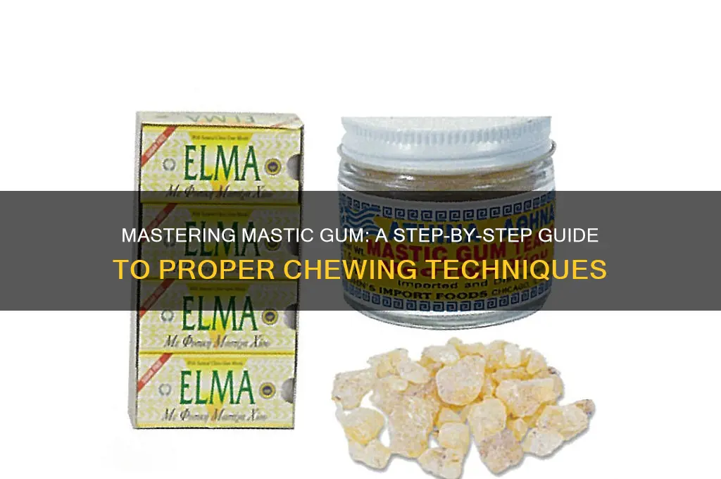 how to chew mastic gum