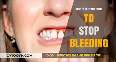 Stop Gum Bleeding: Effective Tips for Healthy Gums and Fresh Breath