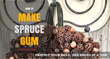 Crafting Spruce Gum: A Step-by-Step Guide to Making Natural Chewing Gum