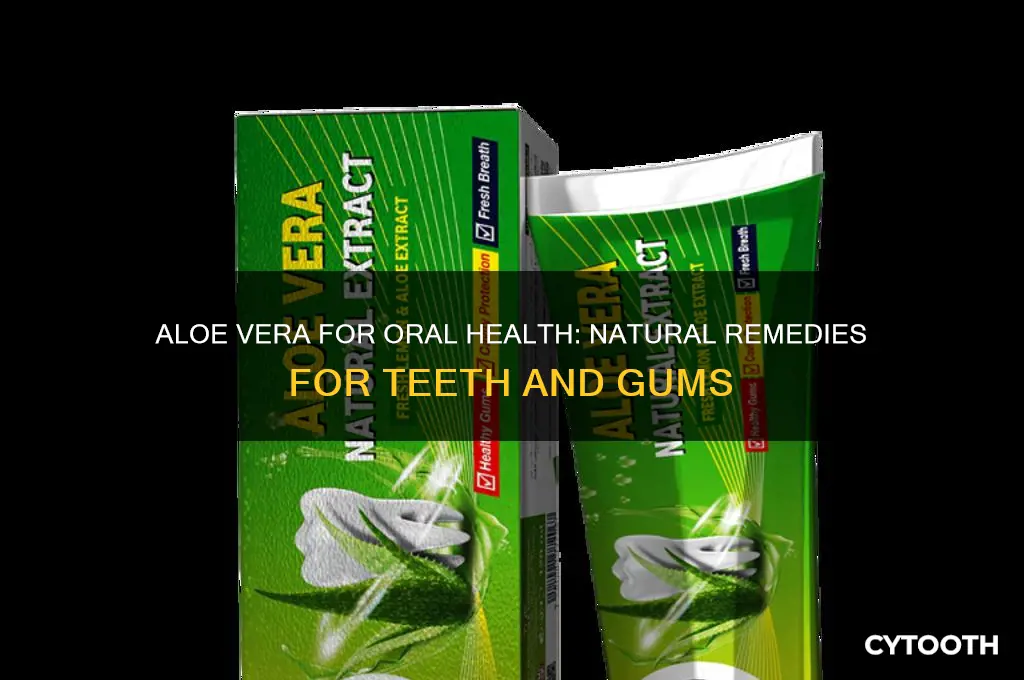 how to use aloe vera for teeth and gums
