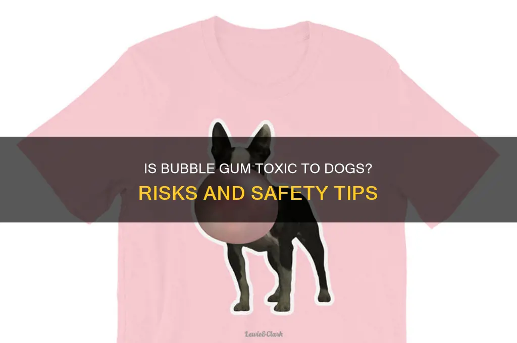 is bubble gum bad for dogs