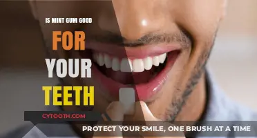 Mint Gum and Dental Health: Benefits or Just Fresh Breath?