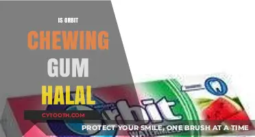 Is Orbit Chewing Gum Halal? Uncovering the Ingredients and Certification