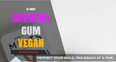 Is Orbit Chewing Gum Vegan? A Comprehensive Guide for Vegans