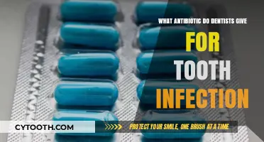 Effective Antibiotics Dentists Prescribe for Treating Tooth Infections