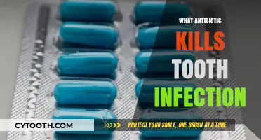 Effective Antibiotics to Treat and Kill Tooth Infections Fast